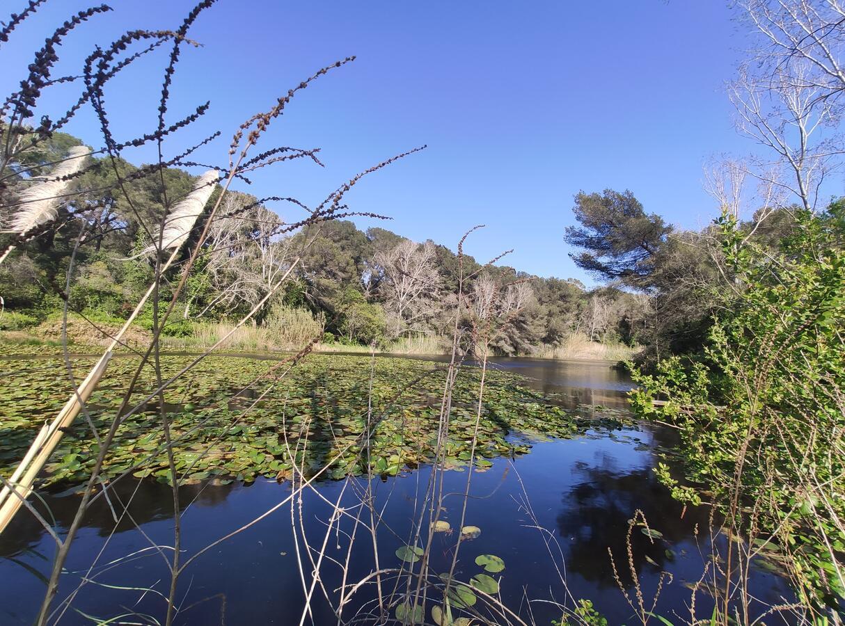 Domaine de La Coudouliere, Vue Mer, Plage, Piscine et Parc Six-Fours-les-Plages Extérieur photo