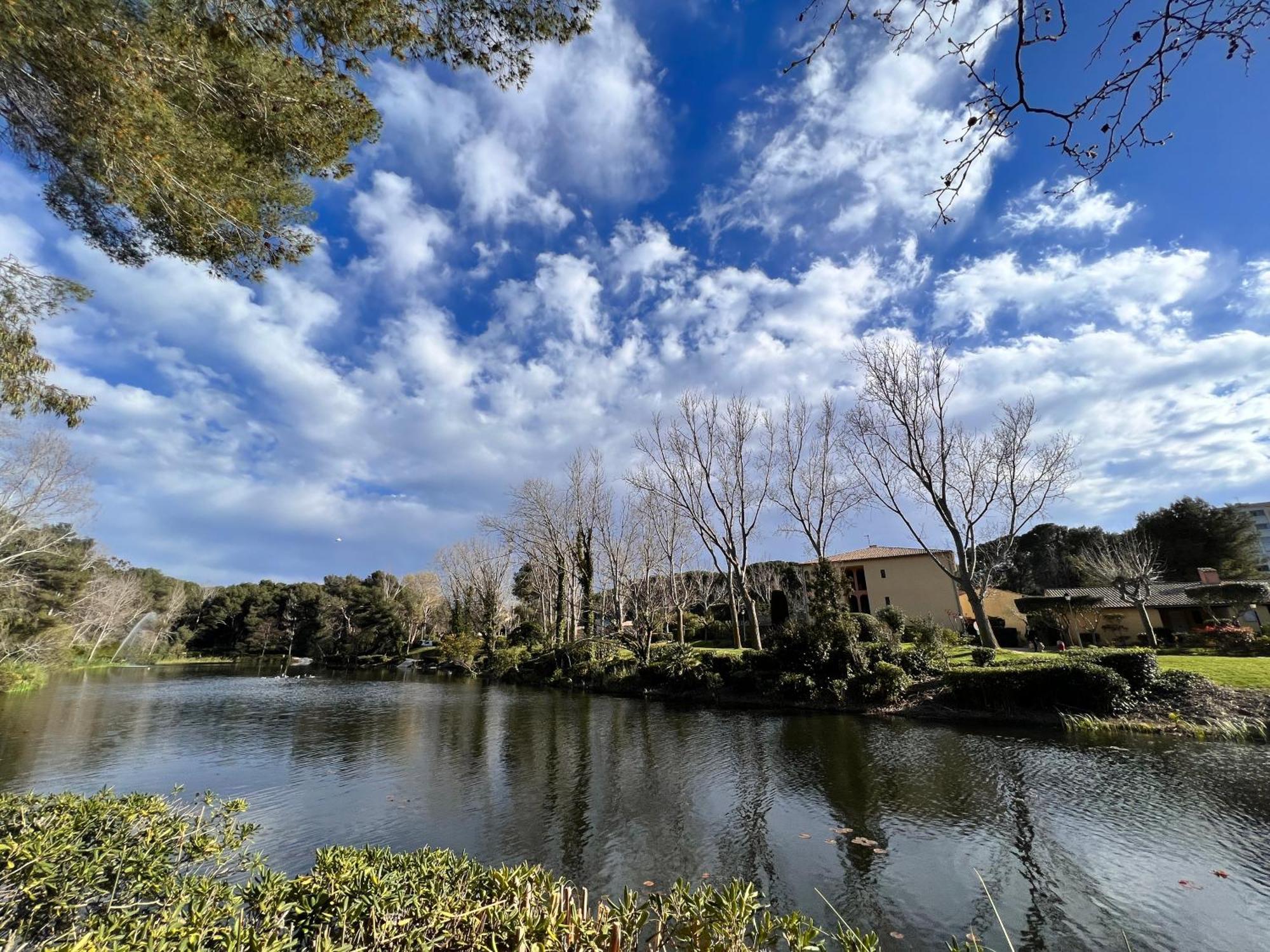Domaine de La Coudouliere, Vue Mer, Plage, Piscine et Parc Six-Fours-les-Plages Extérieur photo